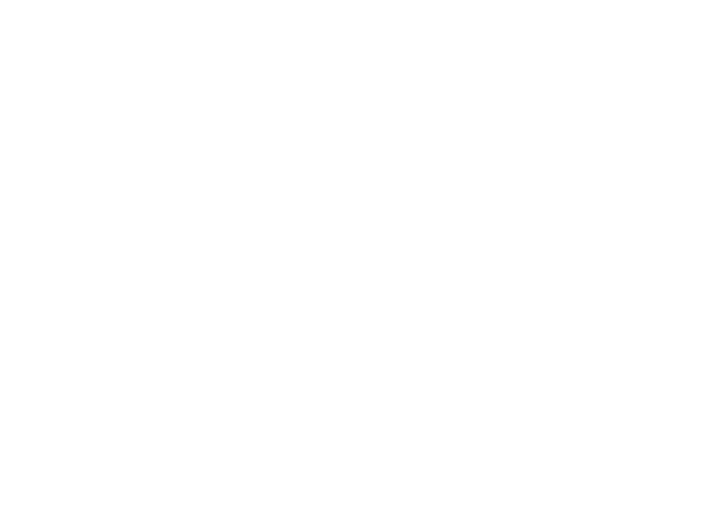 accel systems logo